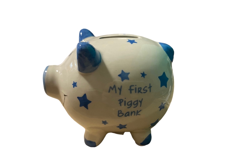 Online 2024 piggy banks